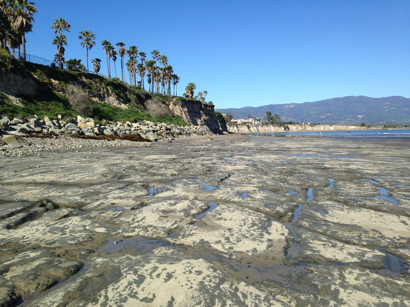 Photo of exposed bedrock on the beach with palm trees along the cliff edge and mountains in the background