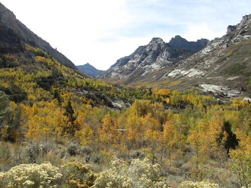 Great Basin in golden color.