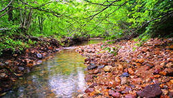 Bell Mountain Wilderness Area