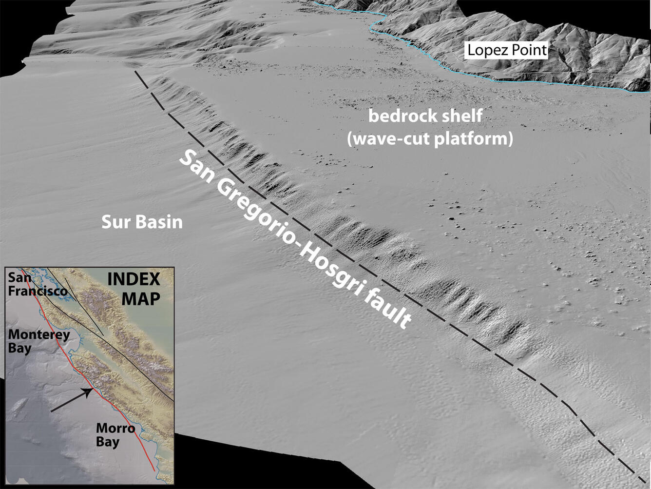 Cartoon looks at the seafloor at an angle to reveal a steep hillslope, indicative of a fault between tectonic plates.