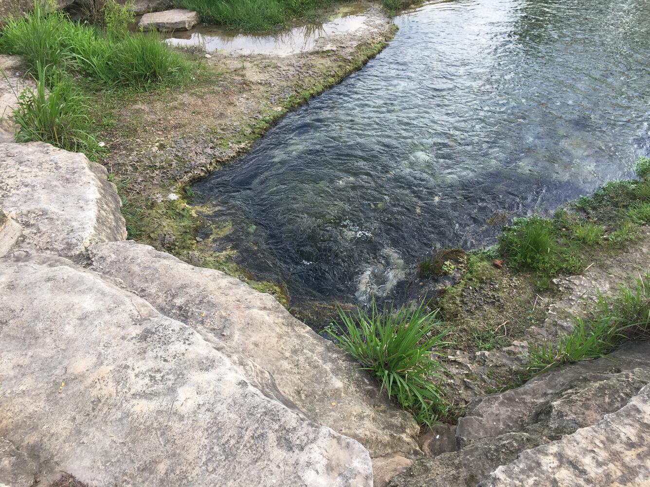 Pool below Big Boil Spring, Texas