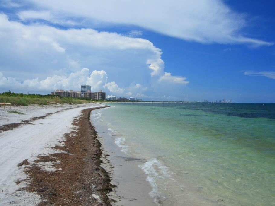 Beach showing buildings in the distance 