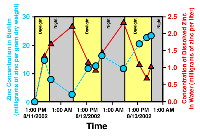 Results of a 54.5-hour field experiment on the banks of High Ore Creek, Mont., conducted in August 2002