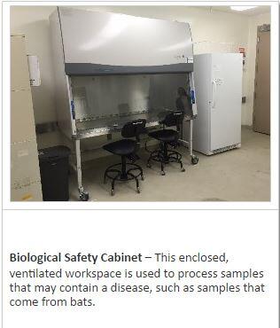 The Biological Safety Cabinets of the Molecular Ecology Lab at FORT