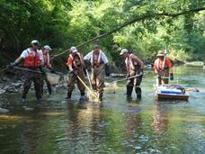Biology sampling in Indiana stream