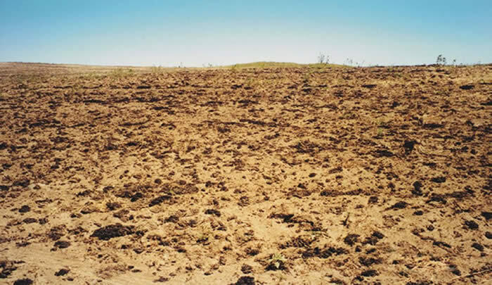 Biosolids in field near Deer Trail, CO