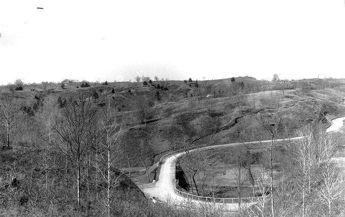 Avian monitoring within the Gulf Coast Network of the National Park Service