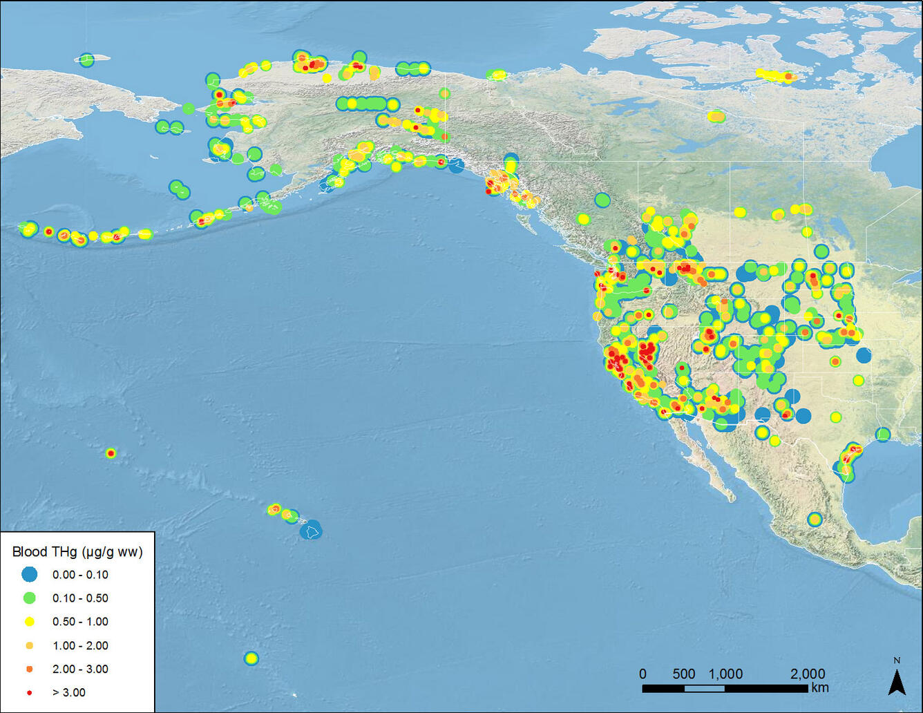 Map of North America shows dots where birds have been found, with varying levels of mercury in their blood.