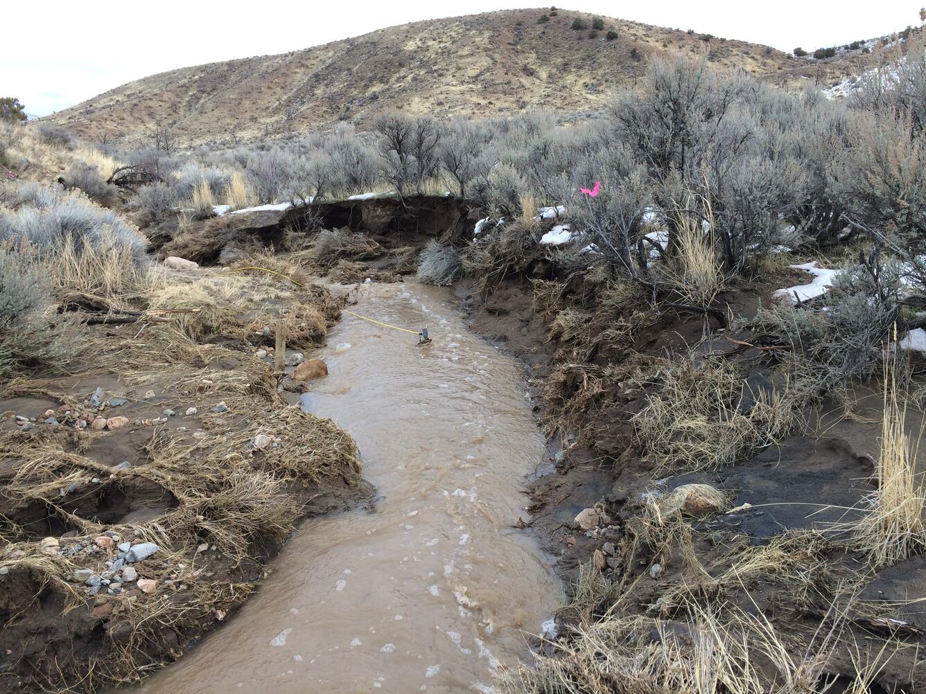 Flow in Bird Spring Wash, Bedell Flat, Nevada