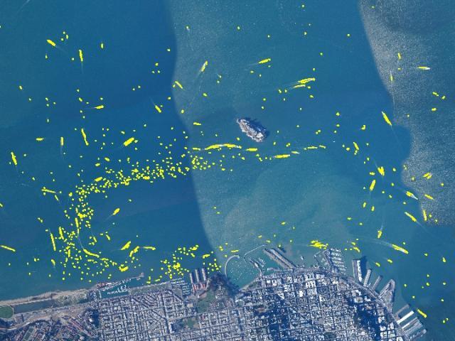 WERC SF Bay Boat Traffic Aerial View