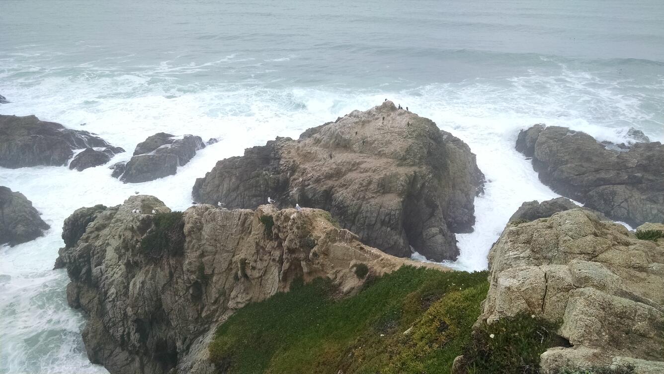 Bodega Head, Bodega Bay, CA