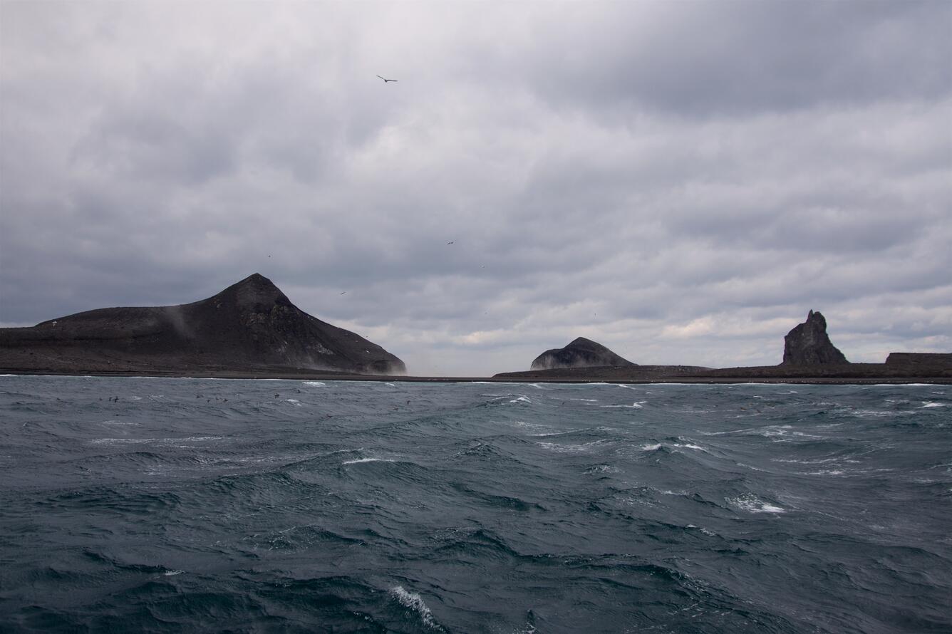Wide view of Bogoslof Volcano taken from the M/V Miss Alyssa.