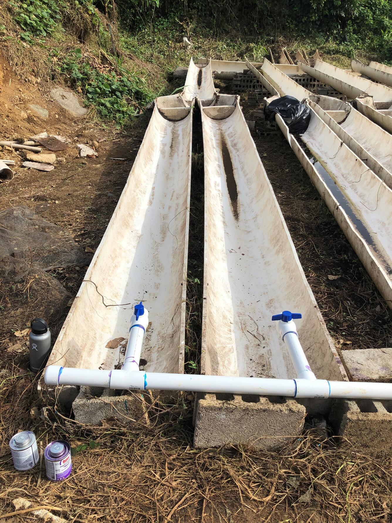 Rehabilitation of artificial stream system at the University of Puerto Rico’s Luquillo Long-term Ecological Research Station.