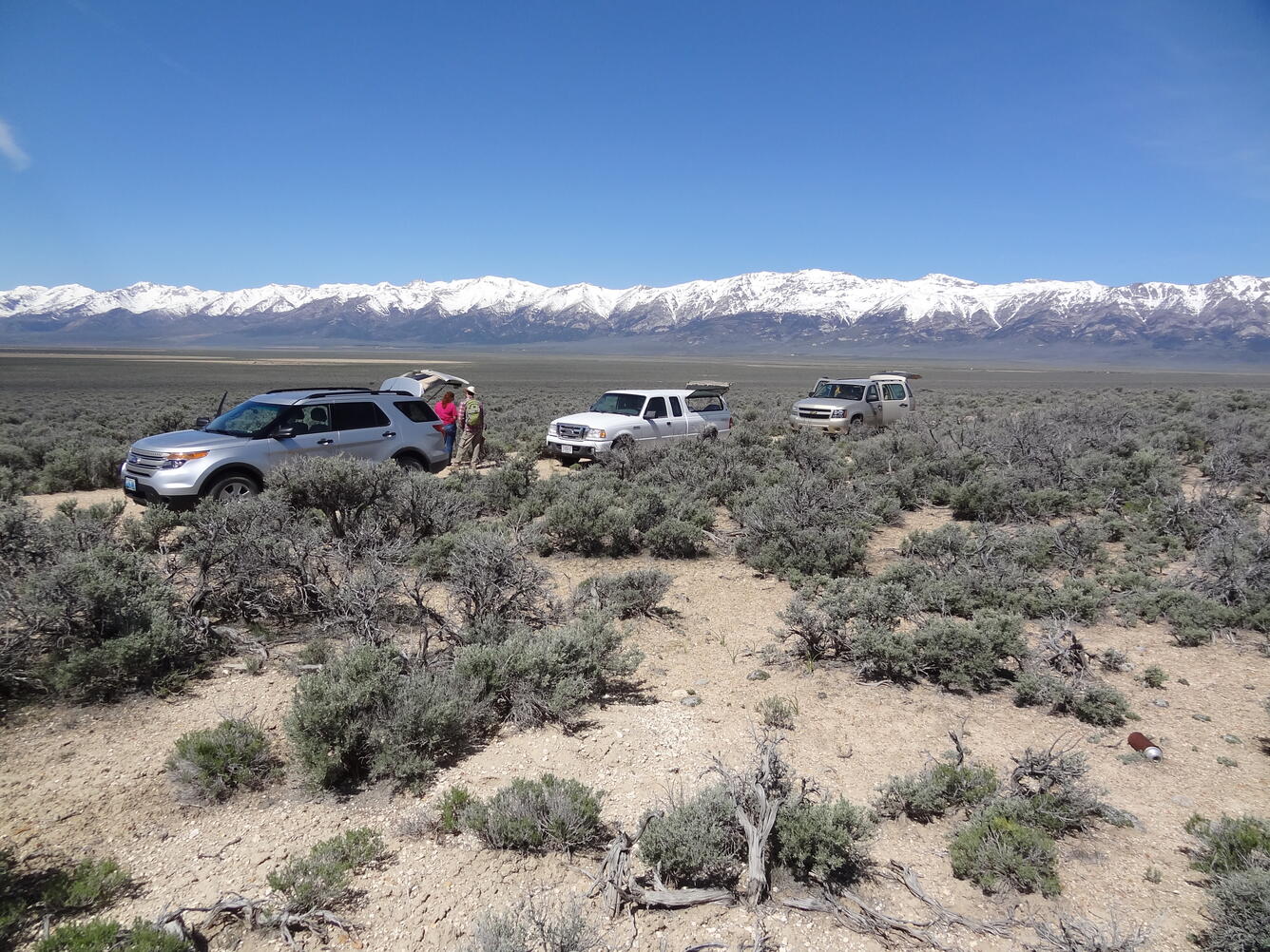 USGS vehicles in sage brush with white capped mountains in the background 