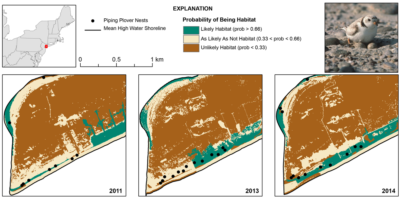 Upper left: inset map; upper right: bird on the sand with chicks; bottom: 3 maps showing suitable habitat for the birds over tim