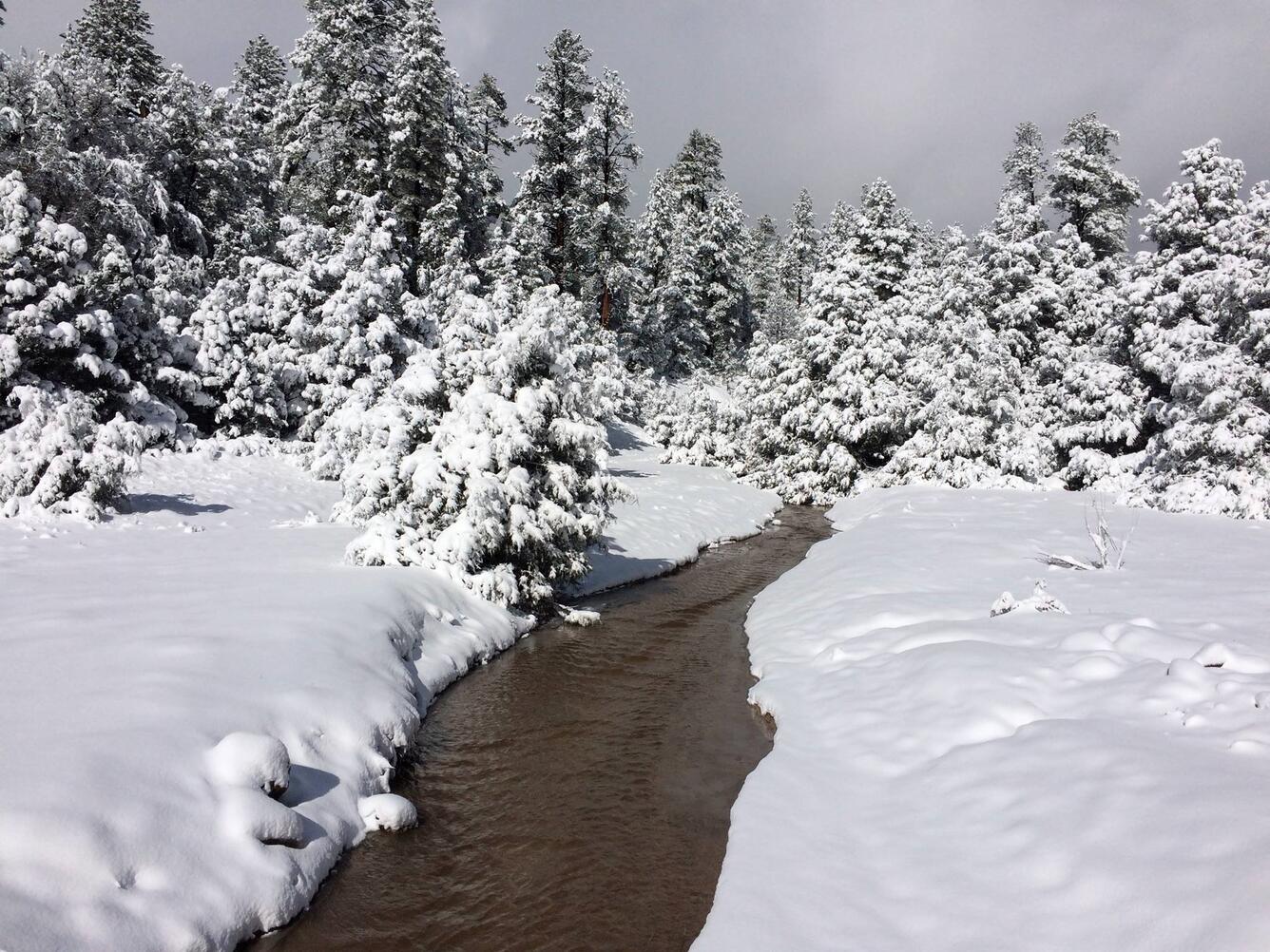 Whiskey Creek, Chuska Mountains, Navajo Nation