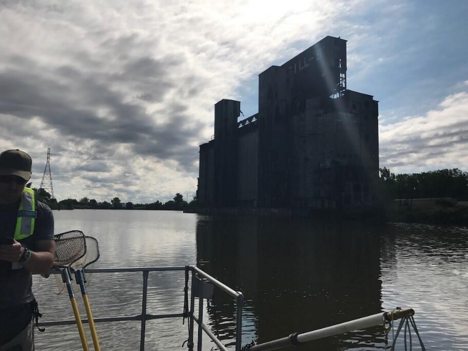 Abandoned grain silos on the Buffalo River AOC