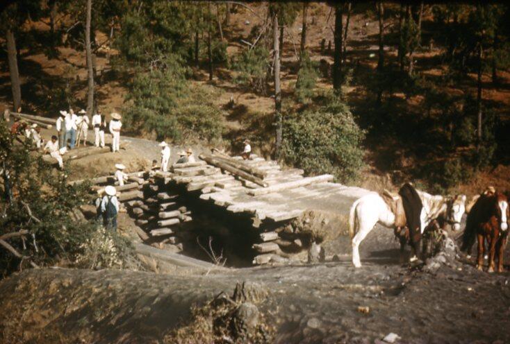 Workers building a wooden bridge, horses in foreground