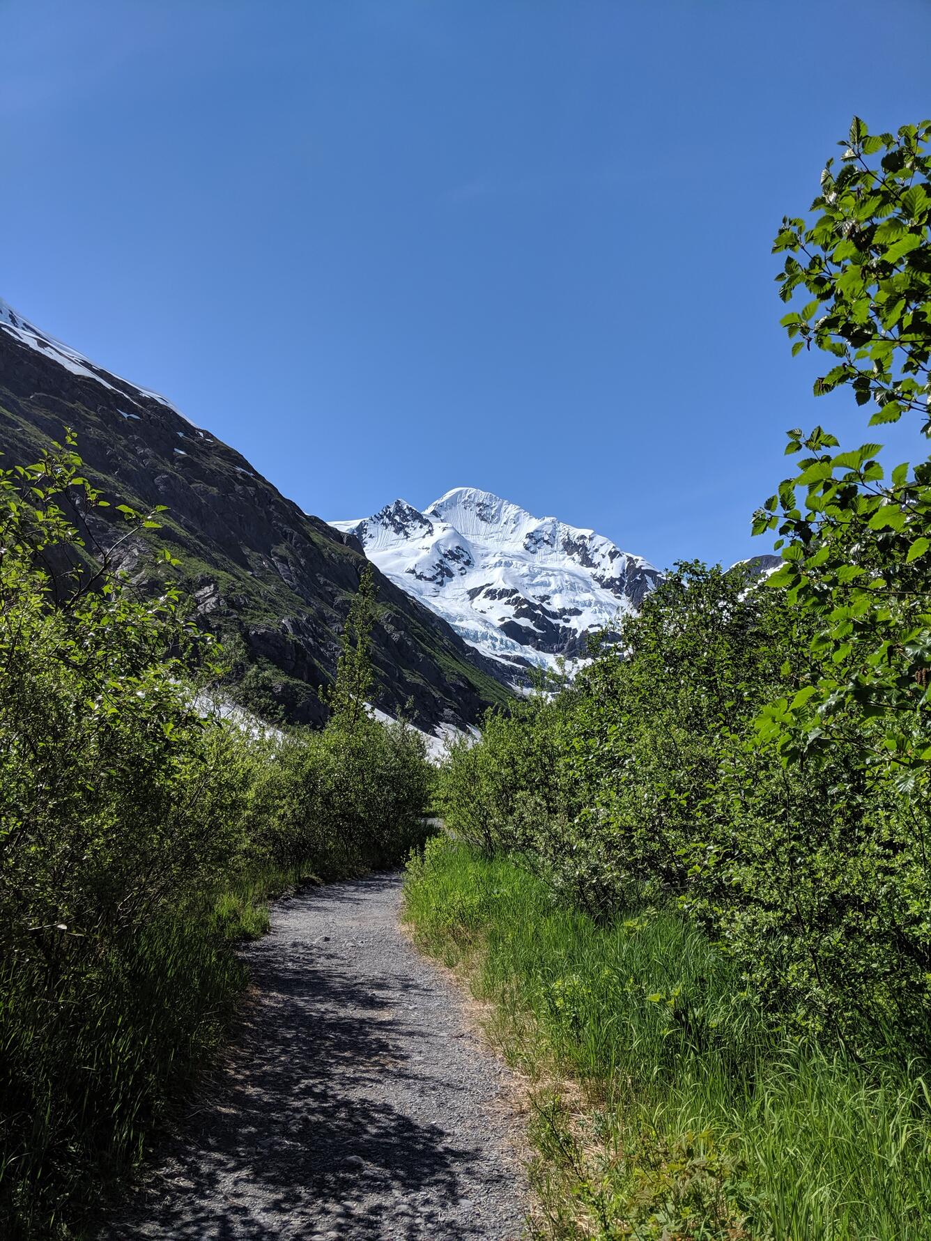 This photograph is taken along the Byron Glacier Trail in the Chugach National Forest of Alaska. See full description