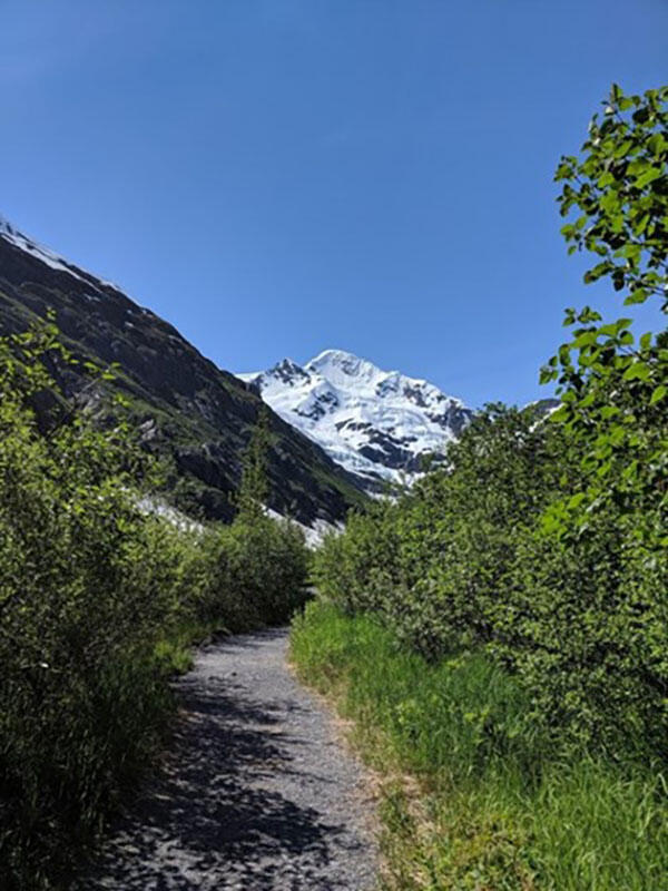 This photograph is taken along the Byron Glacier Trail in the Chugach National Forest of Alaska. See full description