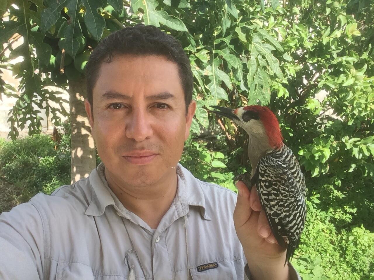Antonio Celis-Murrillo poses for the camera with a West Indian Woodpecker from Cuba in hand