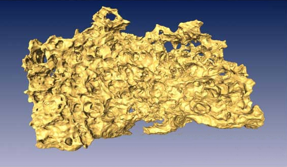 Rendering of limestone sample of upper part of Biscayne aquifer