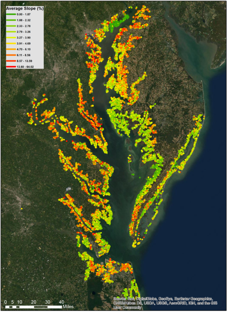 Chesapeake Bay coastal plain