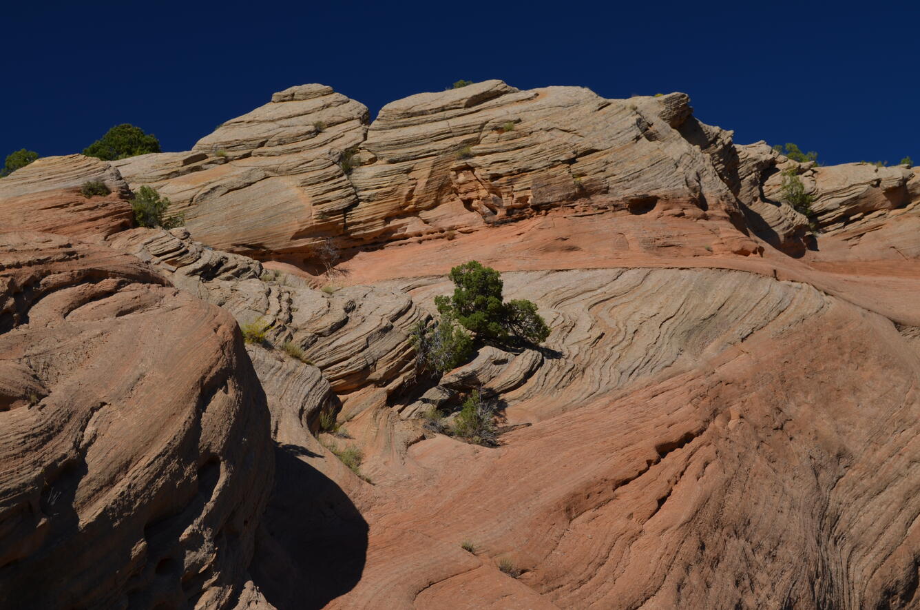 Cross bedded sandstone from Dinosaur National Monument, near Vernal, UT
