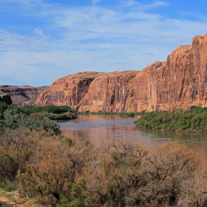 The Colorado River as it passes through red canyons with green vegetation at the water's edge