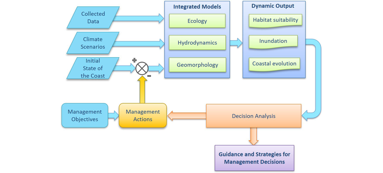 Flowchart showing the cycle of data creation and delivery to management and stakeholders