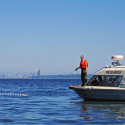 Deploying a beach seine