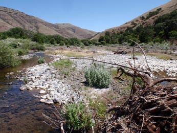 A view of the landscape of Rock Creek