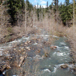 A view of White Creek
