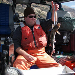 Weighing sturgeon