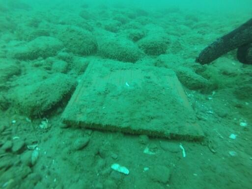 A view of an underwater artificial substrate 