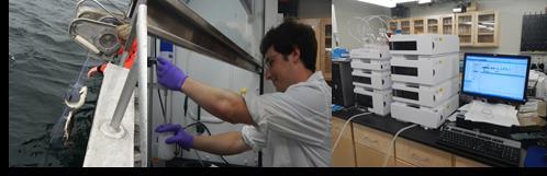 Photo collage of site sampling, sample analyses, and data monitors 