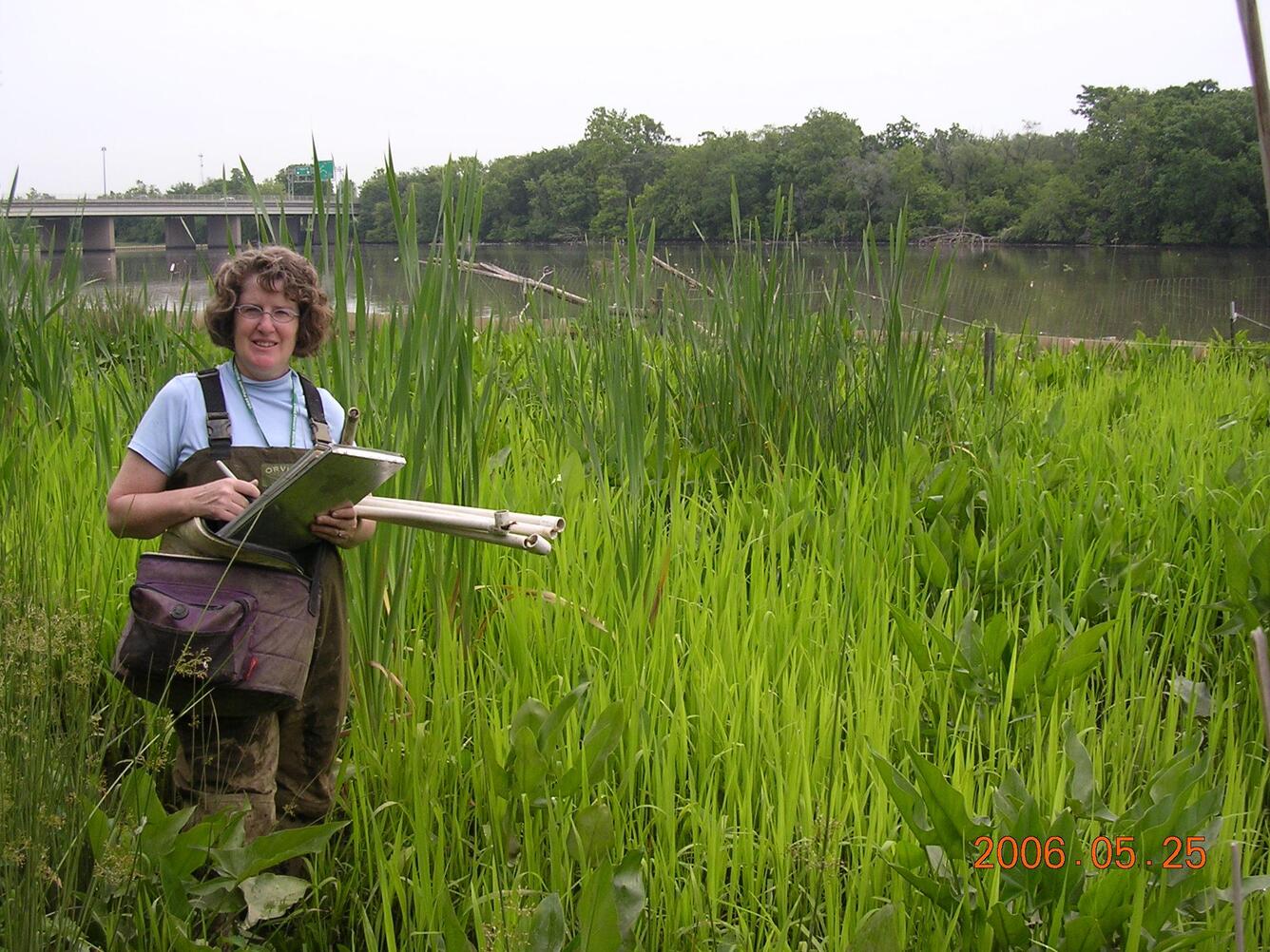 Cairn Krafft sampling vegetation at Anacostia Park, Washington, D.C.