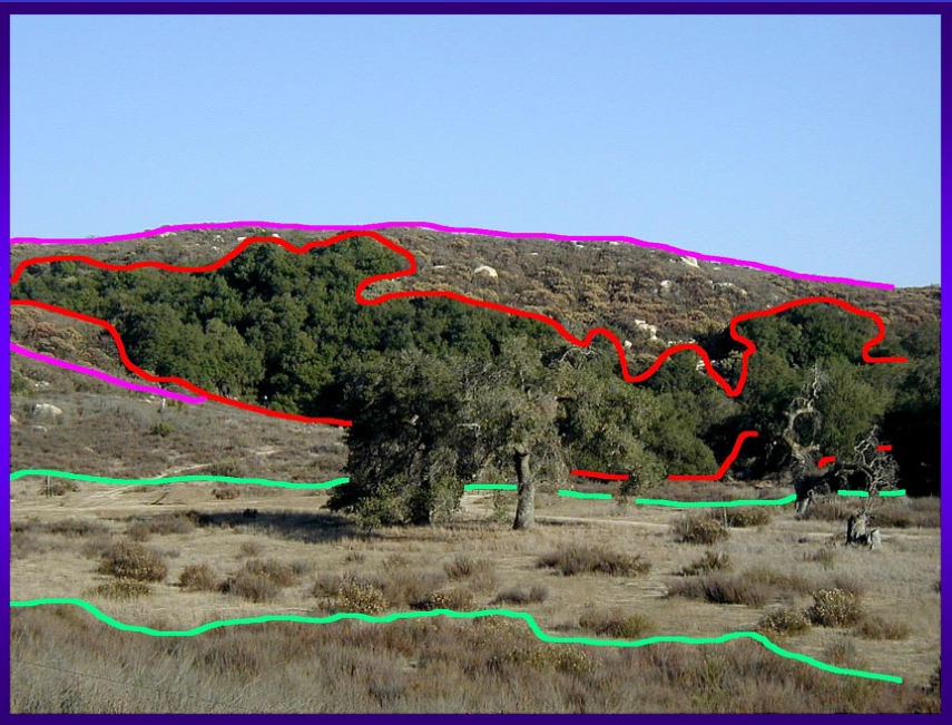 California landscape with outlined vegetation classes  