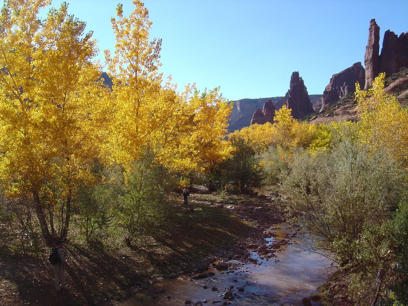 Canyon de Chelly in autumn