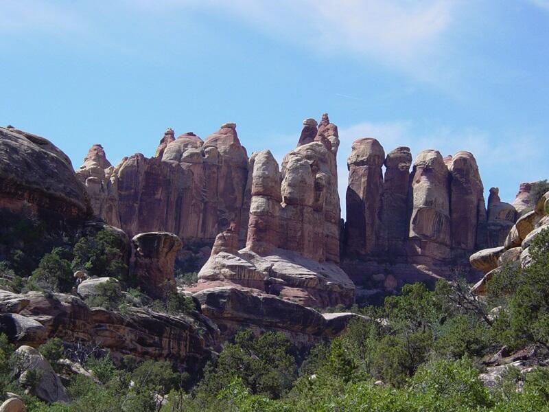 This is a photo of Needles in Elephant Canyon.