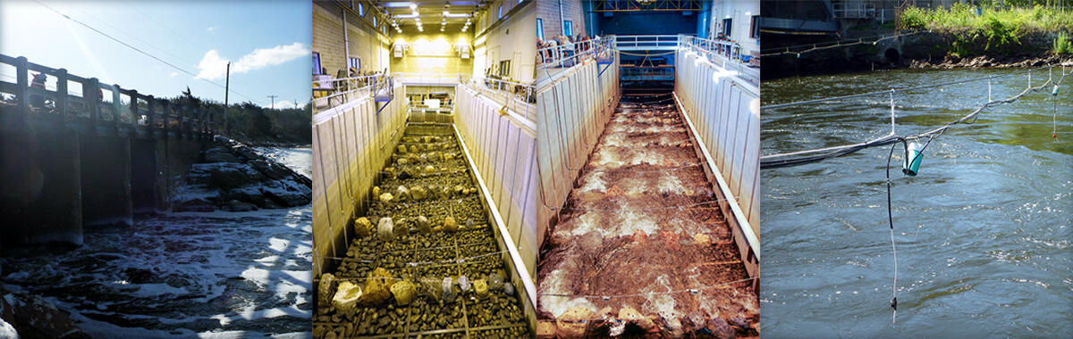 Multiple images showing USGS fish passage research