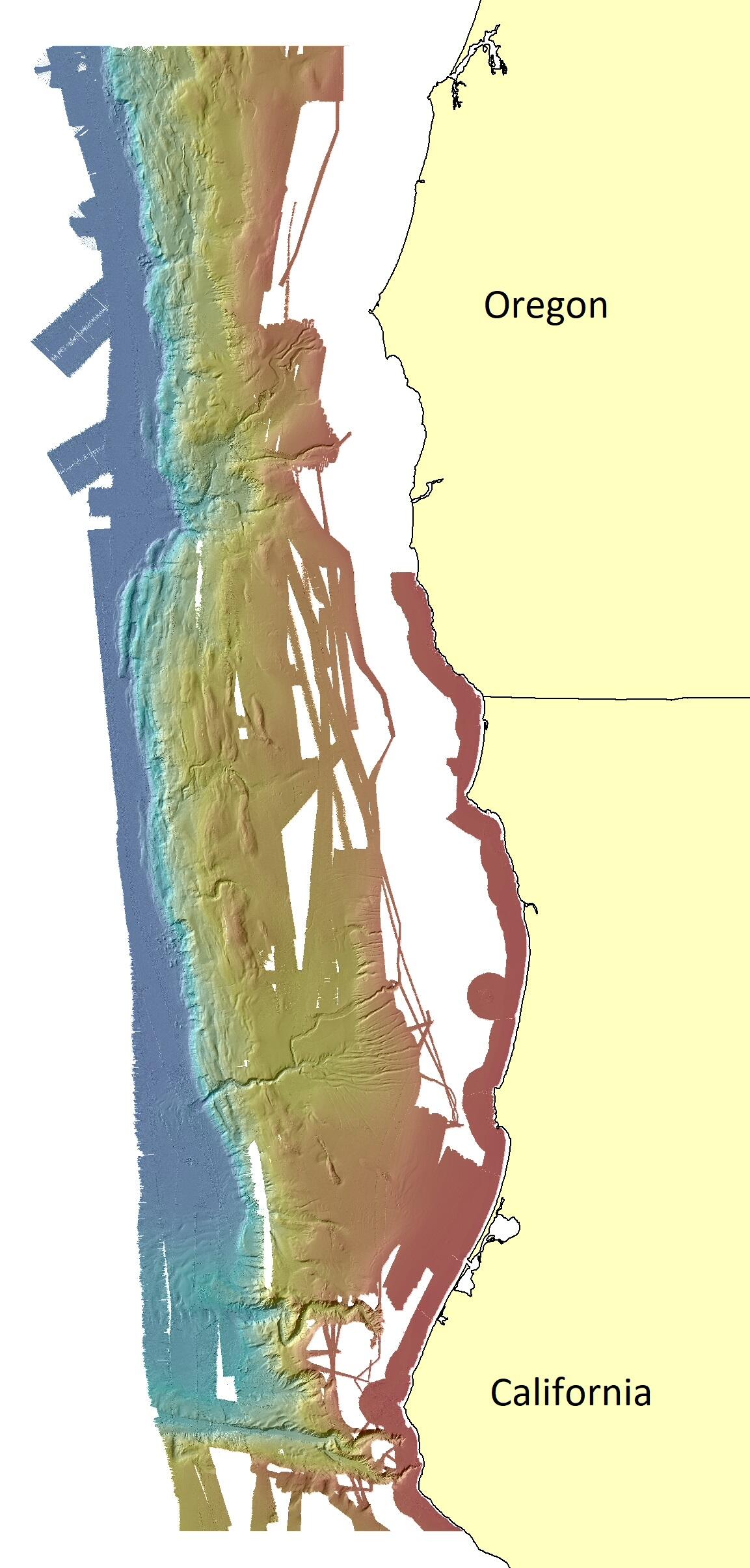 Illustration looking down on a coastal margin with ocean floor features shown off the coast.