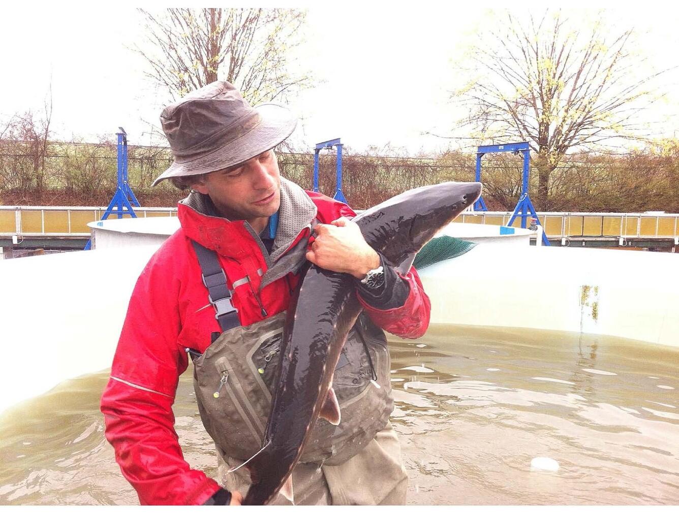 Theodore Castro-Santos