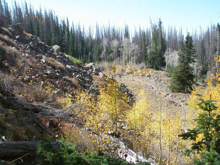This is a photo of talus slope of Markagunt Megabreccia.