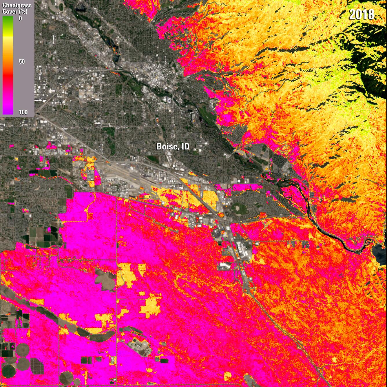 Color image of Boise, ID area, overlaid with a near real time cheatgrass map from 2018