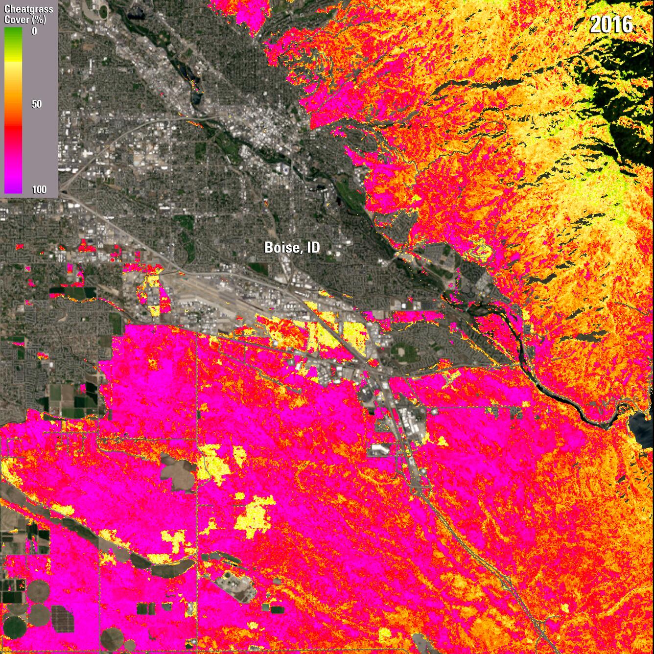 Color image of Boise, ID area, overlaid with a near real time cheatgrass map from 2016