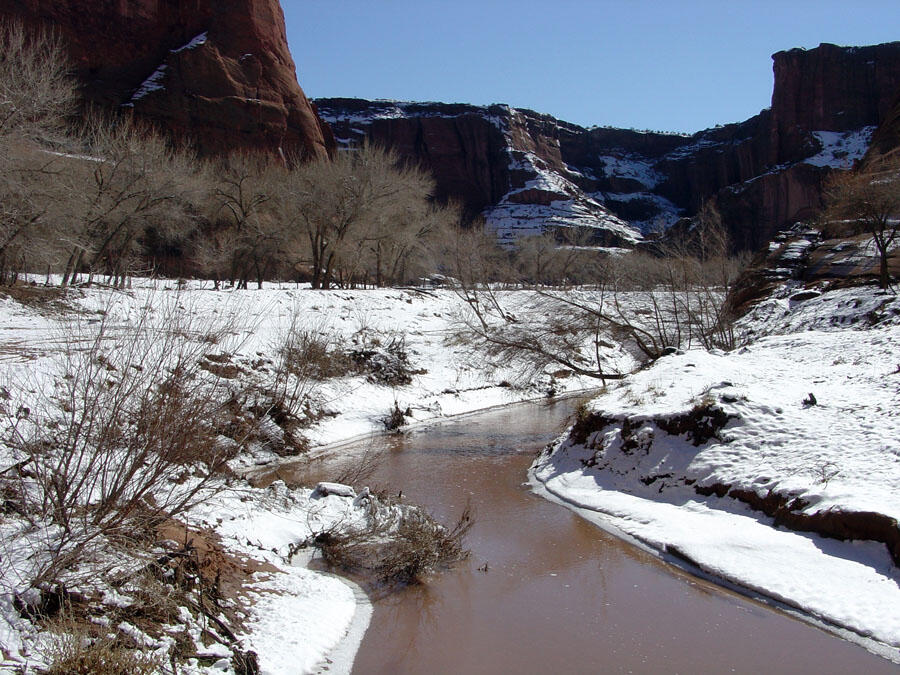 This is a photo of Canyon de Chelly Creek