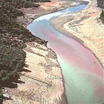 Chemical Spill Sacramento River