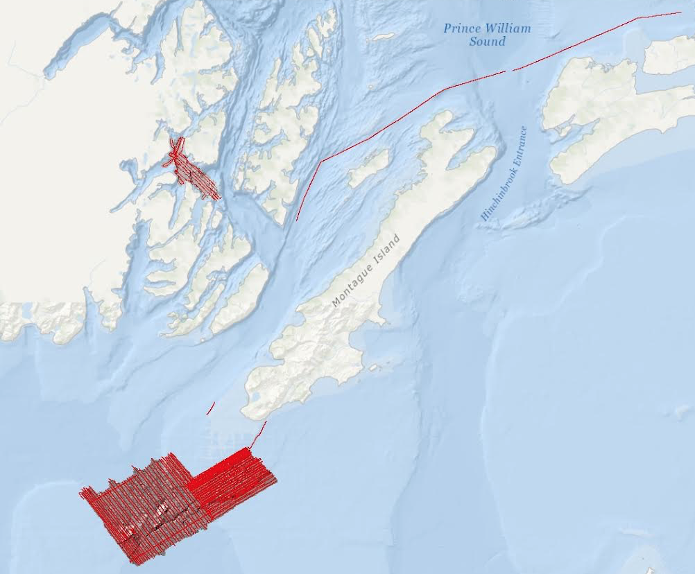 Map of land and ocean showing lines where data were collected in the ocean.