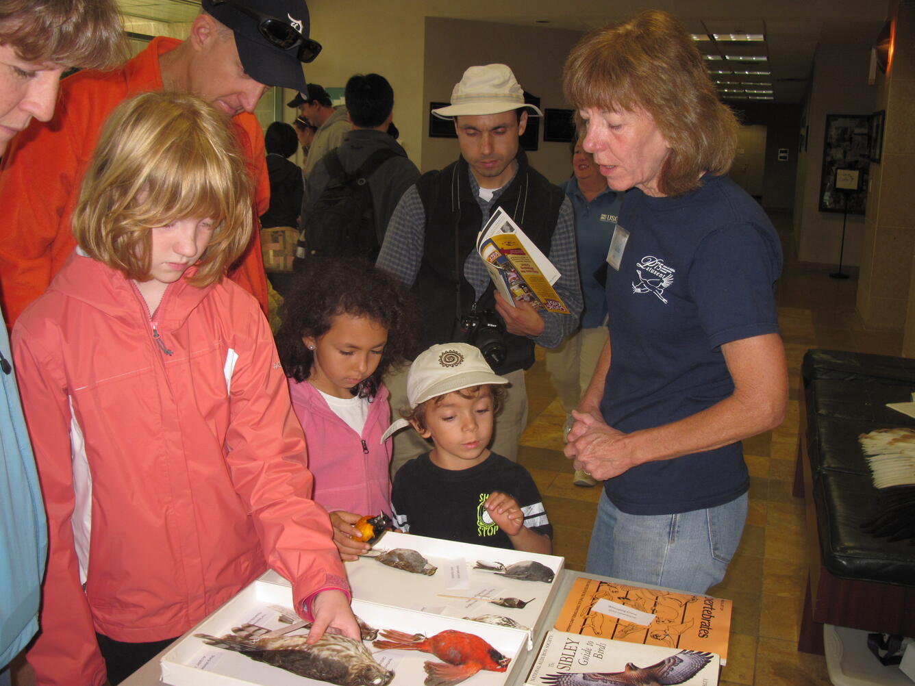 Claudia Angle at PWRC Wildlife Festival